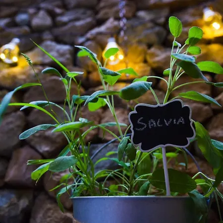 - - By Faendho Lejlighed